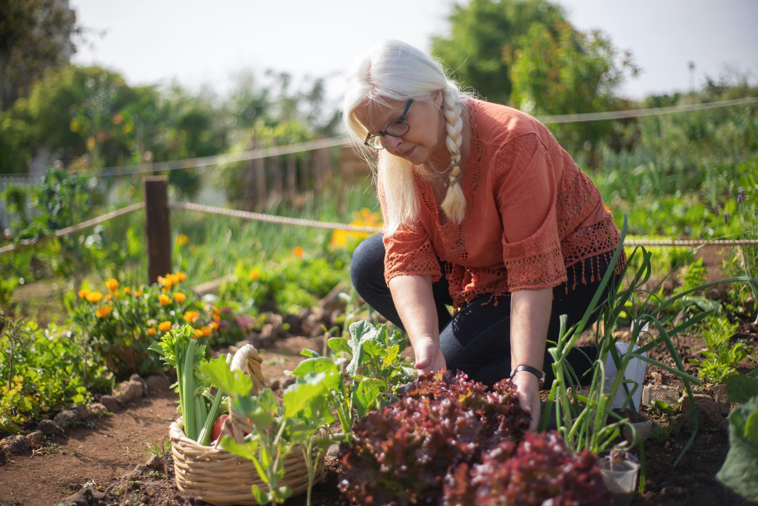 a senior gardening
